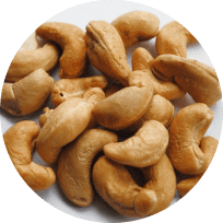 Cashew_nuts_home-1